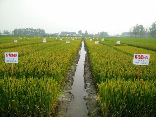 <b>农业农村部：化肥涨价势必要推升粮食生产成本</b>