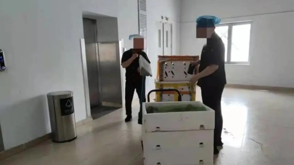 <b>胖哥俩在执法人员检查前丢弃食材</b>