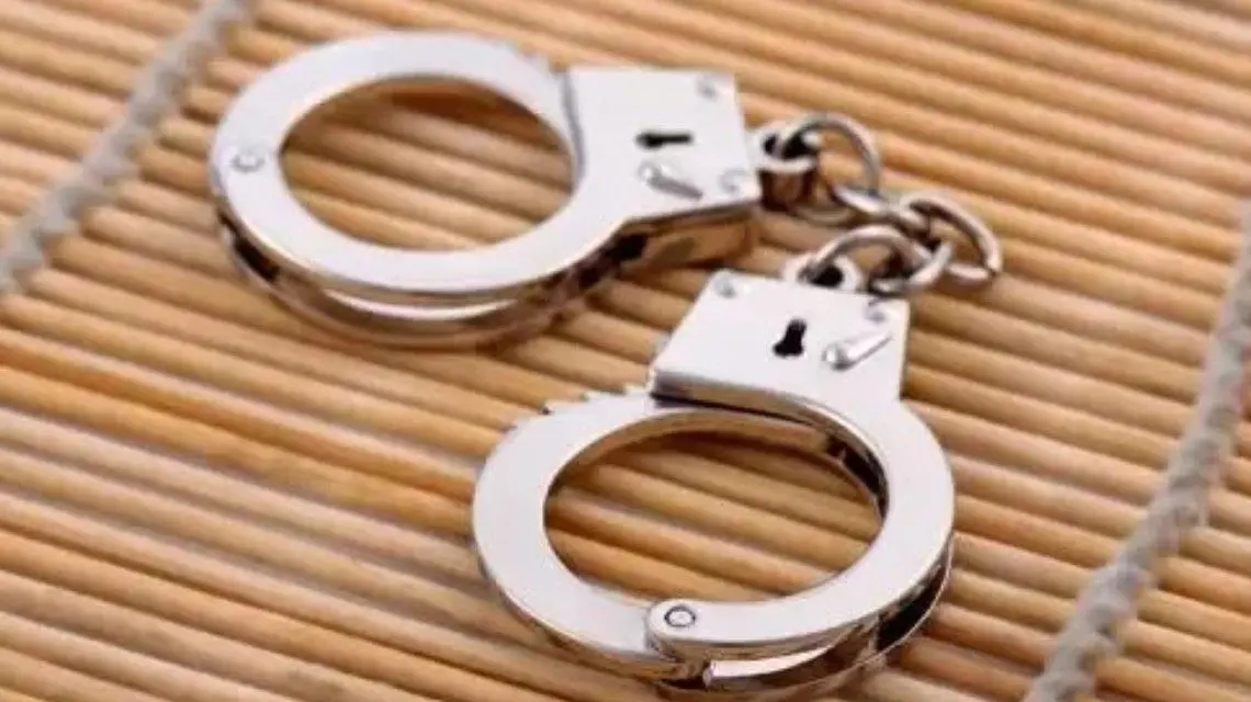 <b>兰迪少儿英语创始人被刑拘</b>