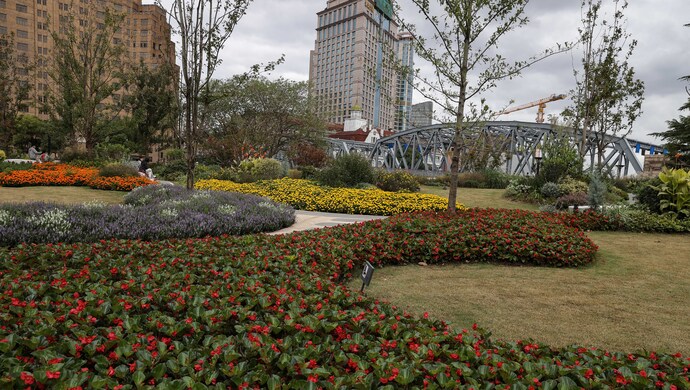 <b>上海市中心，原本废弃的地铁上架变成网红打卡</b>