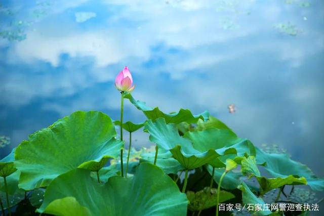 <b>今日小满</b>