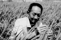 <b>悲痛！袁隆平逝世 享年91岁</b>