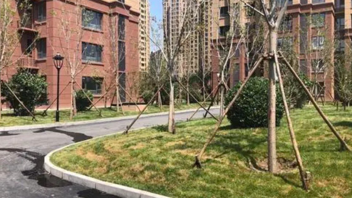 <b>广州多区域停止非日常生活必须活动</b>