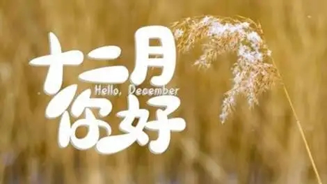 <b>2021的最后1个月</b>