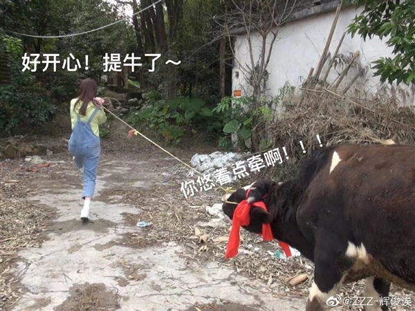 <b>女生点奶茶中奖一头奶牛</b>