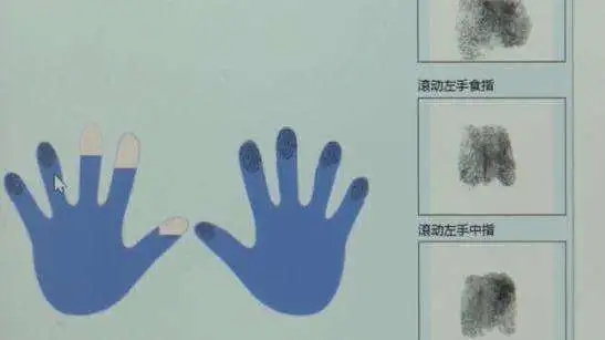 <b>研究发现指纹与身体发育基因关联</b>