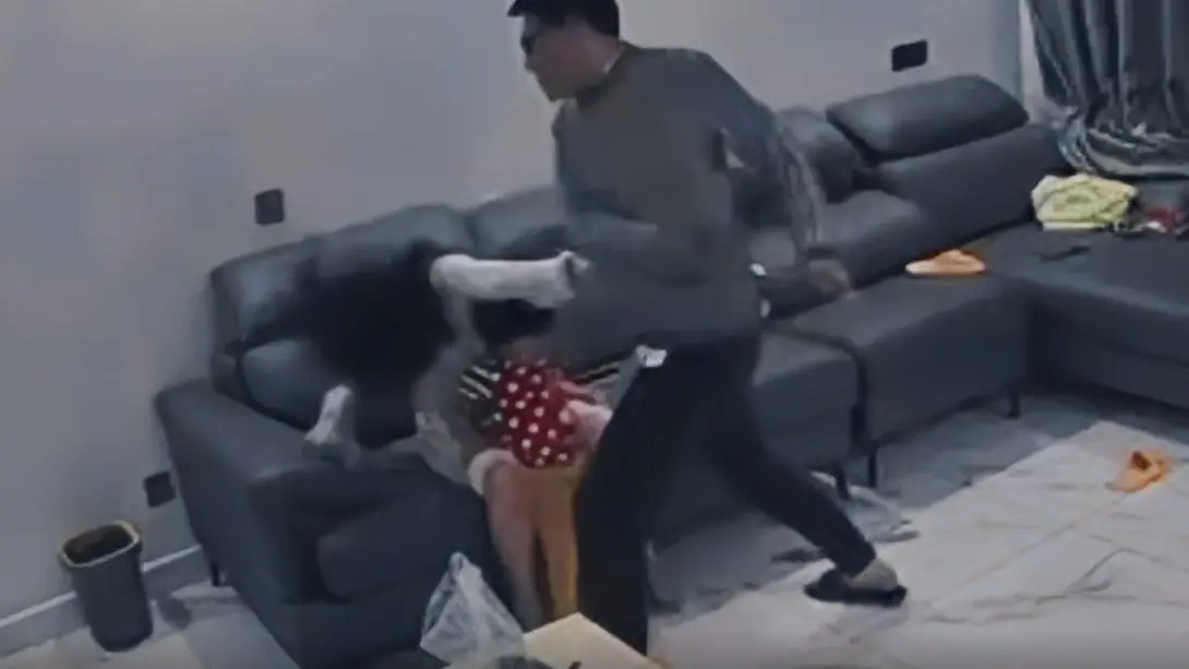 <b>陕西一公司高管家暴妻子被停职</b>