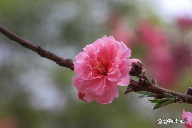 <b>今日雨水</b>