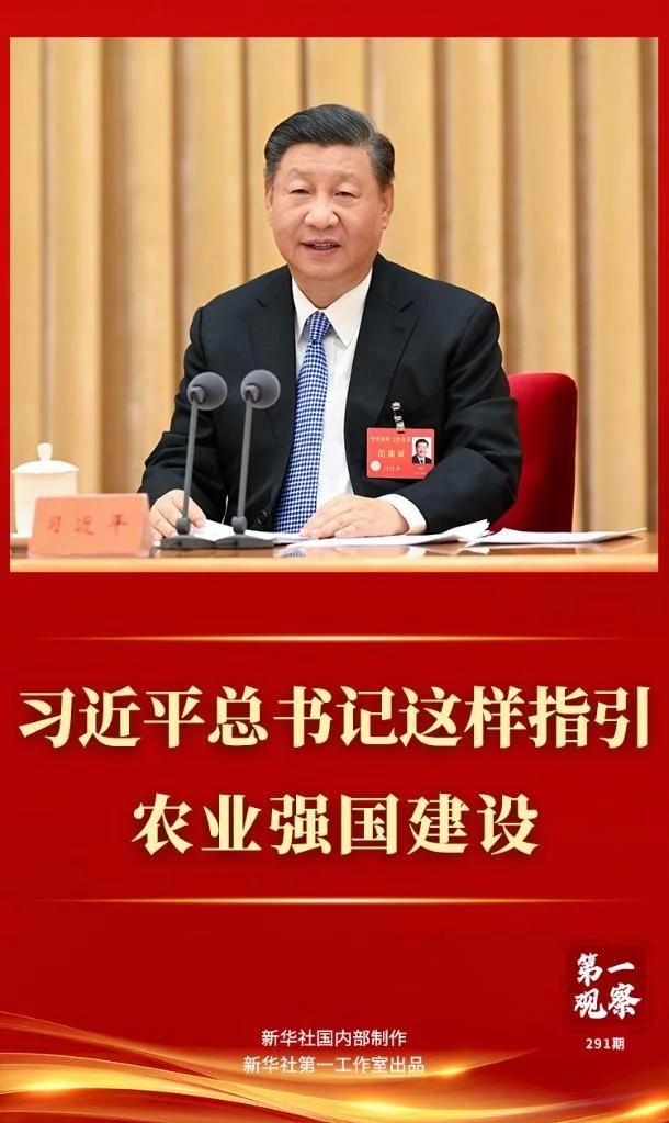 <b>学习卡丨锚定这个目标，总书记给出了建设“路</b>