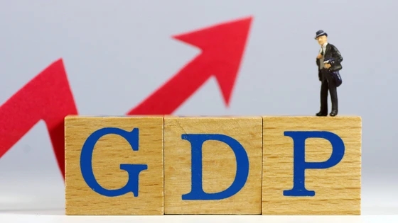 <b>中国今年GDP目标增长5.5%左右</b>
