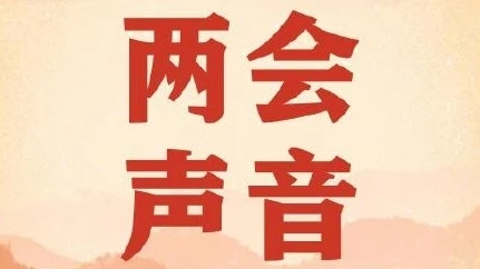 <b>代表:鼓励年轻人少送外卖多进工厂</b>