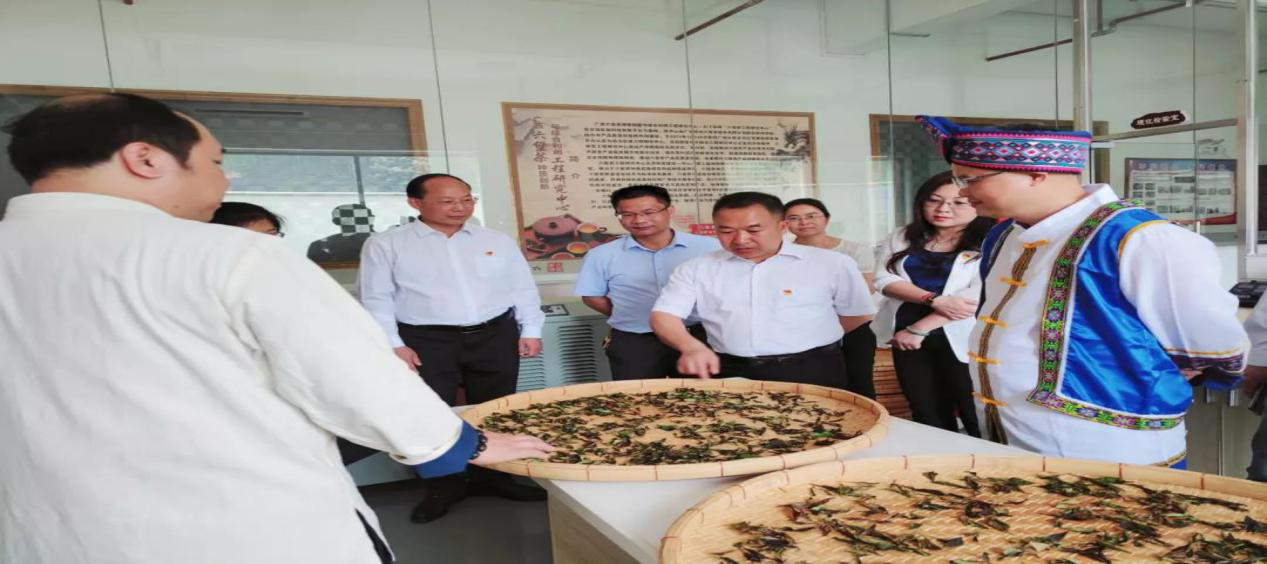 图片6