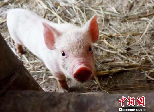 资料图  钟欣 摄