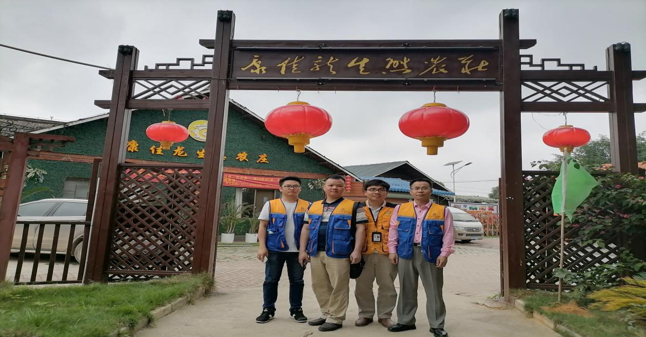 图片21