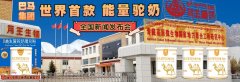 <b>巴马集团世界首款能量益生菌驼奶 全球发布会</b>