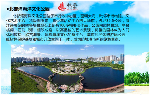 webwxpreview (5)