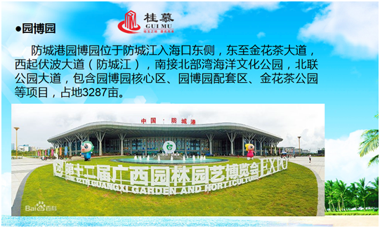 webwxpreview (6)
