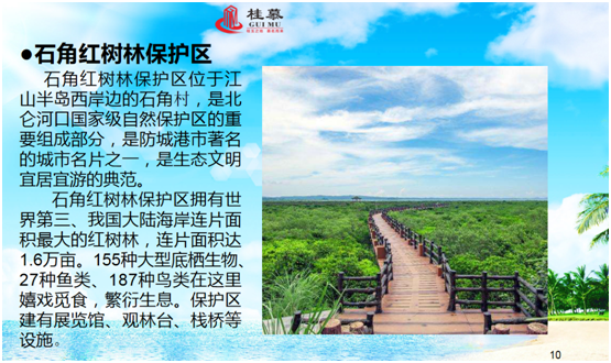 webwxpreview (9)