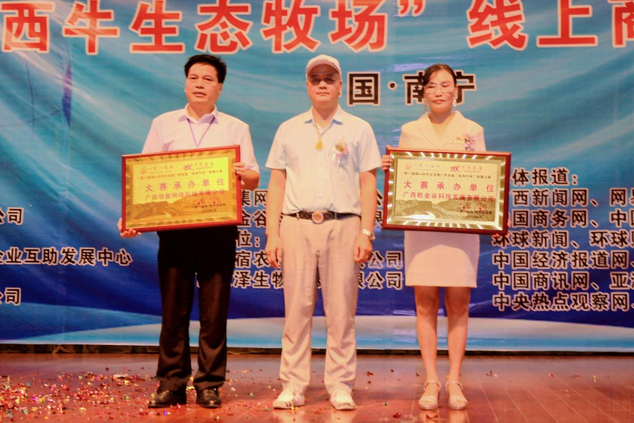 图片8