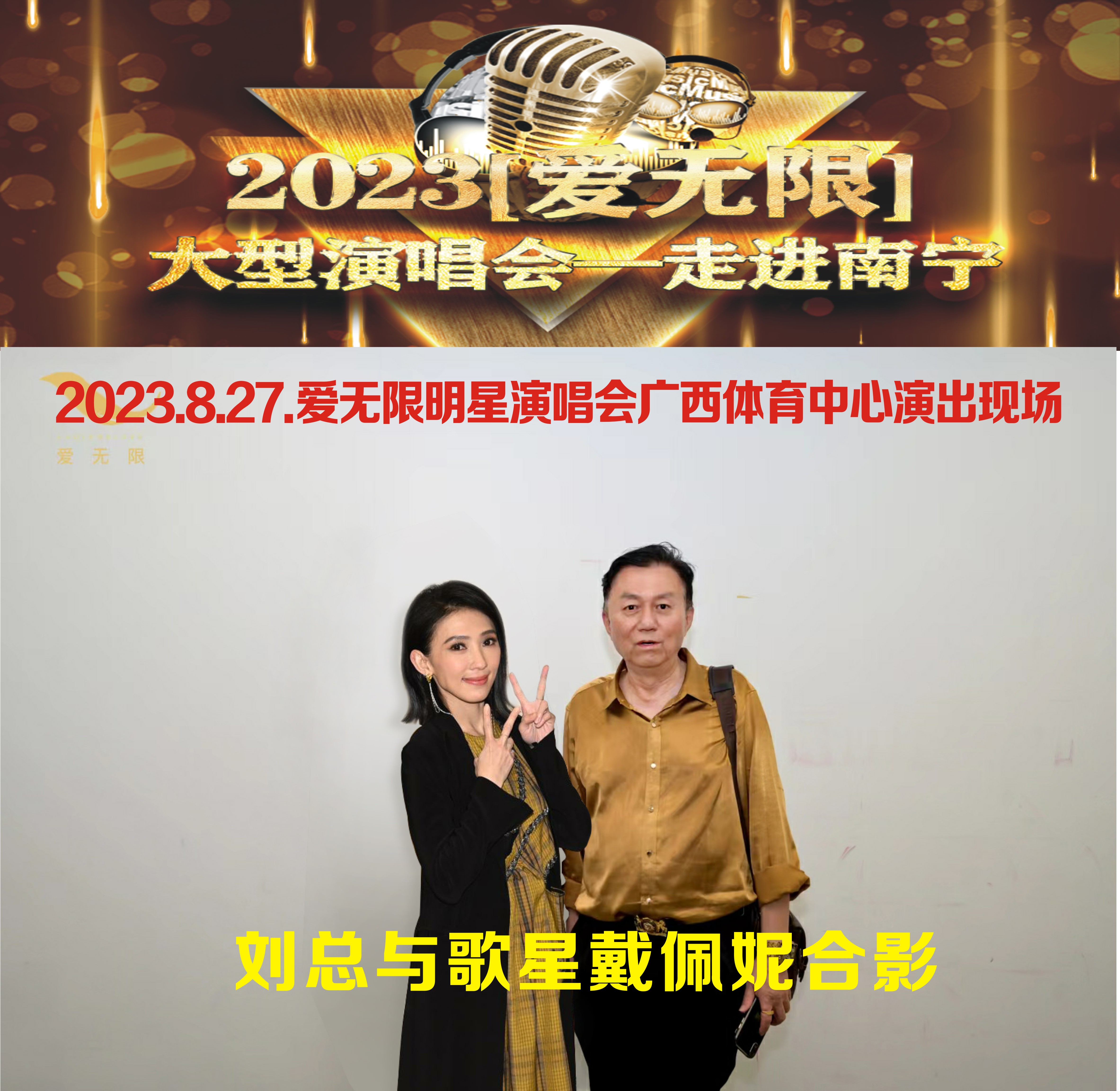 刘与戴佩妮