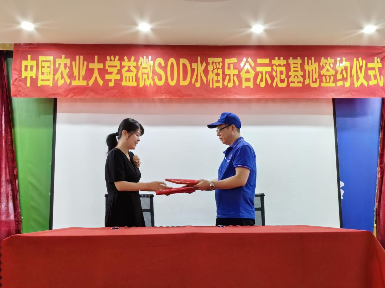 图片10